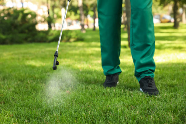 Best Mosquito Control Services  in Nassau Village Ratliff, FL
