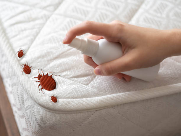 Reliable Nassau Village Ratliff, FL Pest Control Solutions