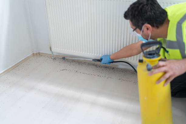 Best Exterminator Services  in Nassau Village Ratliff, FL